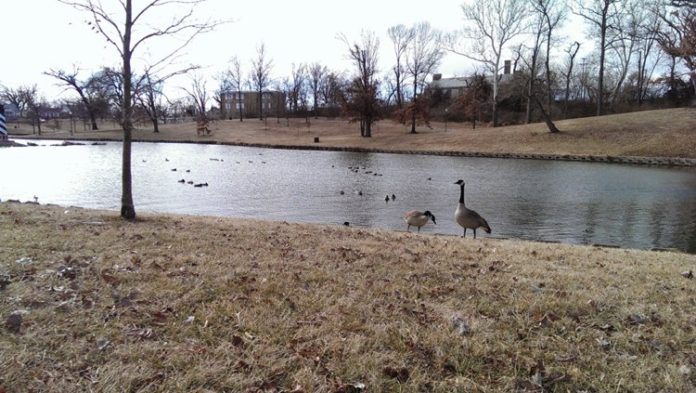 Pond at January Wabash Park