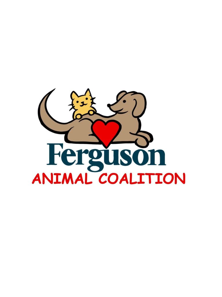 Ferguson Animal Non-Profit Launched